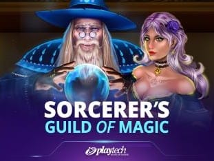 Sorcerer's Guild Of Magic